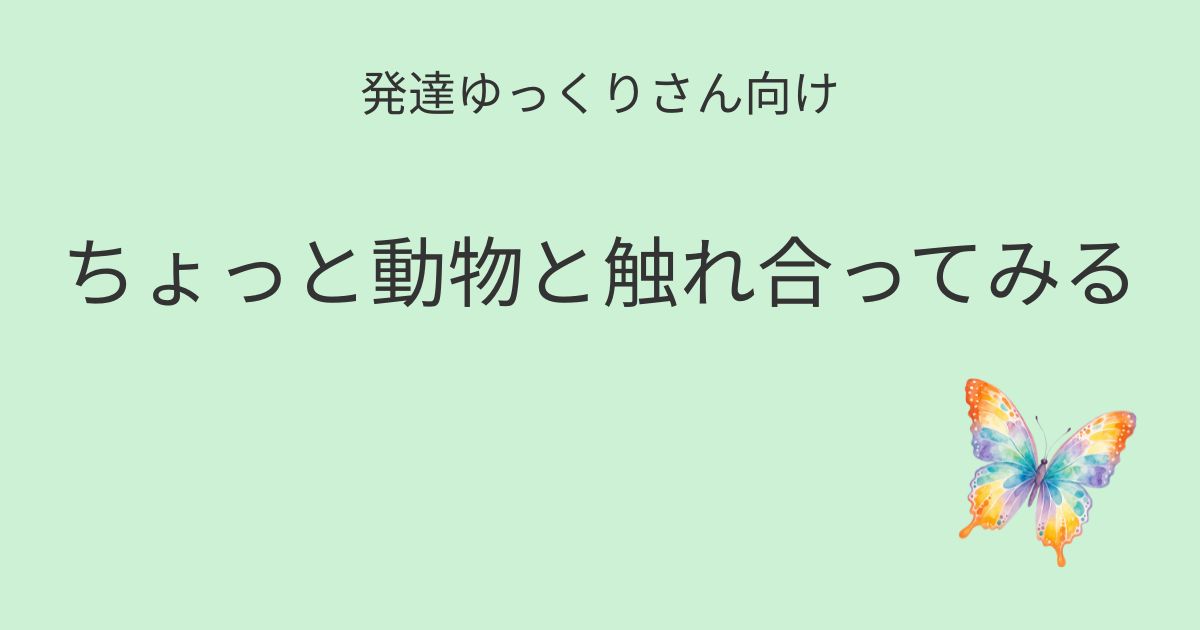 発達ゆっくりさん向け｜ちょっと動物と触れ合ってみる 記事アイキャッチ画像